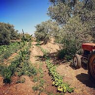 Bare Hill Holiday Village