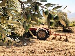 Bare Hill Holiday Village