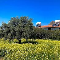 Bare Hill Holiday Village