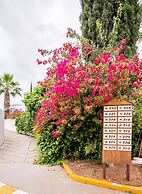 The Olive Tree Hotel