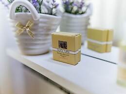 Welc-oM Saint Anthony