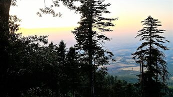 Casa Isabela Luxury Rooms