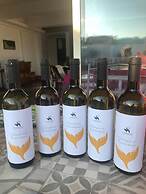 Specchio di Parthenope