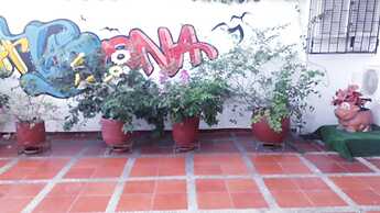 Apartamentos Manga Real