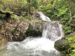 Mount Avangan Eco Adventure Park