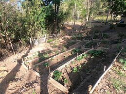 Mount Avangan Eco Adventure Park