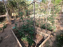 Mount Avangan Eco Adventure Park