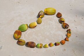 Laura's Guest House Samui