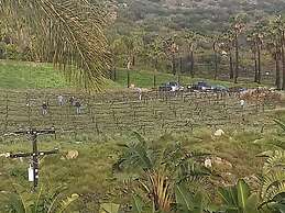 Sunshine Mountain Bed and Breakfast