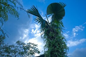 Phong Nha Friendly Home