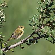 Hostel El Lago Caceres
