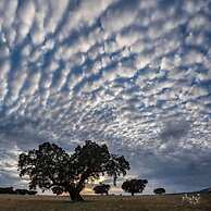 Hostel El Lago Caceres