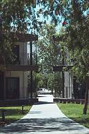 Paloma Orenda - All inclusive