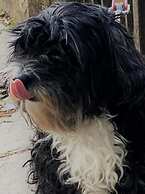 Embassie Backpackers Liverpool