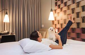 Ibis Cúcuta Hotel