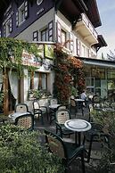 Hôtel A l'Ombre des Marronniers