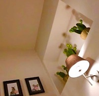 Home 146
