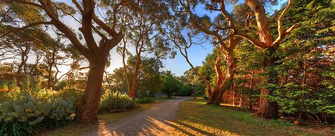 Stanley Lakeside Spa Cabins