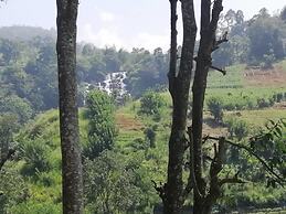 Mars Wonderland View