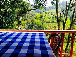 Mars Wonderland View