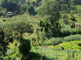 Mars Wonderland View