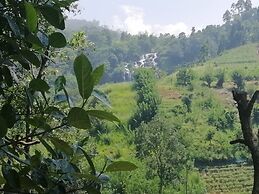 Mars Wonderland View