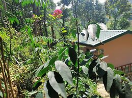 Mars Wonderland View