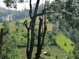 Mars Wonderland View