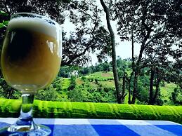 Mars Wonderland View