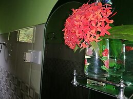 Mars Wonderland View