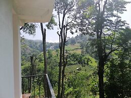 Mars Wonderland View