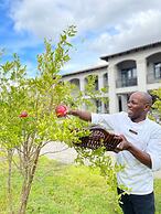 Sante Wellness Retreat & Spa