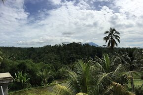 Ubud Wins Bungalow