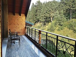 Hot Springs Medical and Spa Hotel