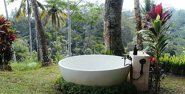 Bubble Hotel Bali Ubud - Glamping