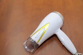 Premier in Land Mark Ebisu Osaka 402(187-1)