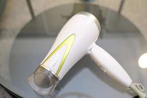 Premier in Land Mark Ebisu Osaka 302 (171-17)