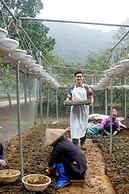 Thung Nham Hotel & Resort