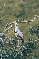 Thung Nham Hotel & Resort