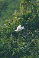 Thung Nham Hotel & Resort