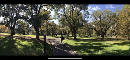 Park view on the City Fringe