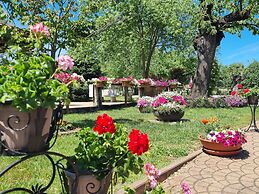 Tenuta Canta