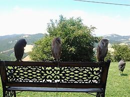 Girfalco - Country House - Bed&Breakfast