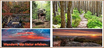 Hotel Garni 4U