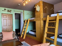 Little Barrel Guest House - Hostel