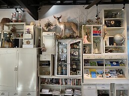 Little Barrel Guest House - Hostel