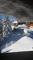 Chalet Plein Sud