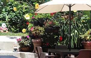 Hotel Aroma Cafetera