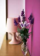 Hotel Amica