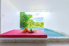 The Escape at Nonsuch Bay  - Adults Only